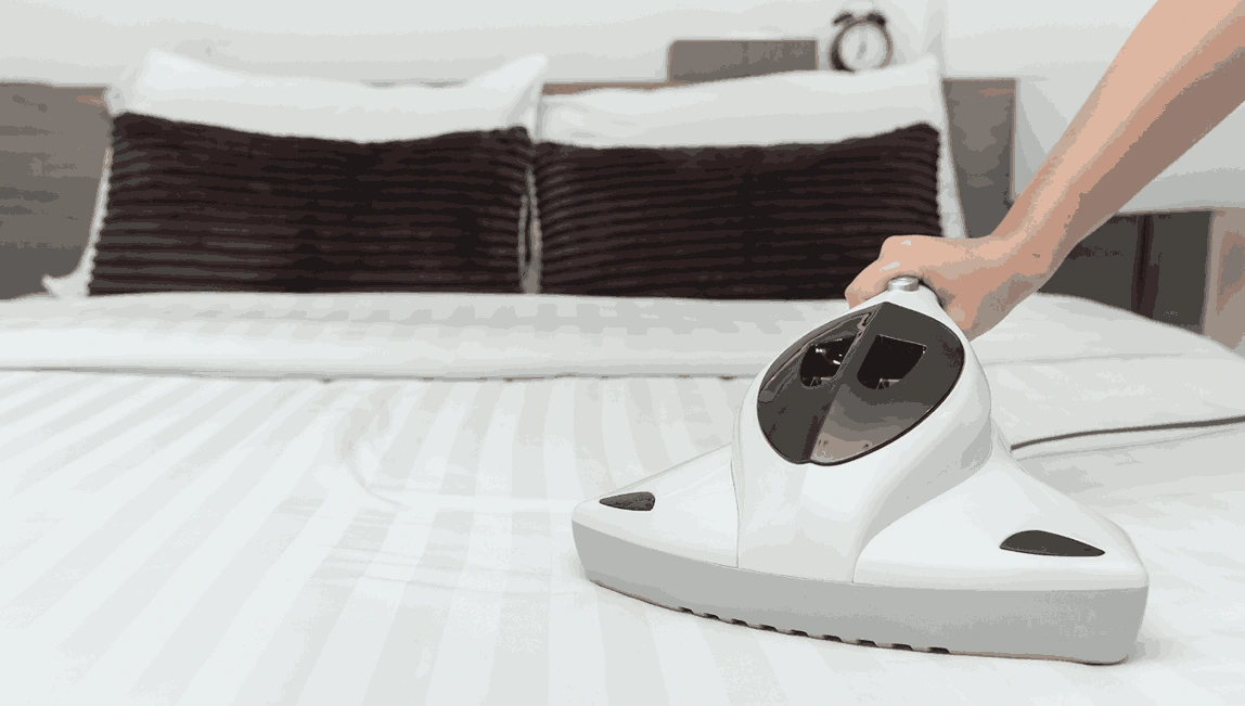 Professional Mattress Cleaning Ripponlea
